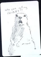 Who you calling Chubby?