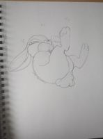 Silly Bunny