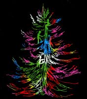 Best climbing tree