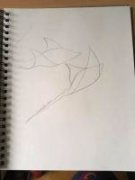Manta Rays