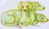 Dachshund cerberus