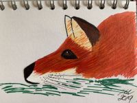 Lazy Fox