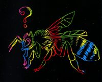Too Bee or not to Bee