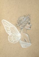 Gossamer beauty