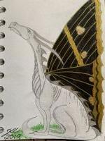 ButterflyDragon’s are rare
