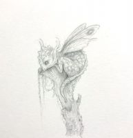 Butterfly Dragon