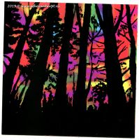 Forest silhouette