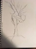 Dryad