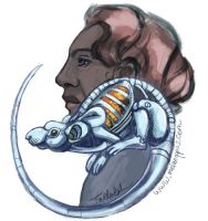 Steel rodent