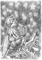 Fairy Midwinter Night Star Gazing