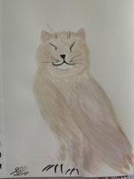 OwlCat