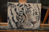 White tiger
