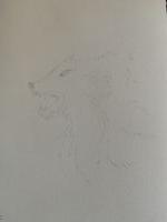 Bad Wolf