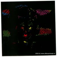 Black fur (1)