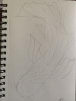 Golden Koi