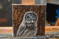 Great gray owl