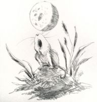 The Howl