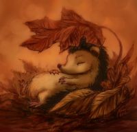 Asleep Under A Leaf