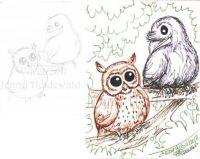 An Owl and a Raven