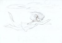 Koi Fairy