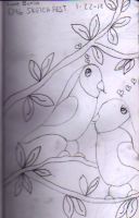 Love Birds