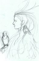 Bird Oracle