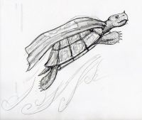 Super Turtle