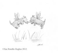 Fairy Puppies