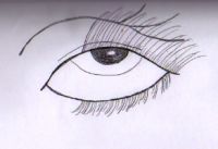 Extreme Lashes