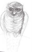 Me as an Owl.