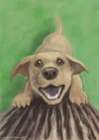 Bark