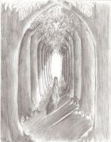 Forest Cathedral