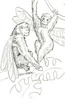 Monkeyflies