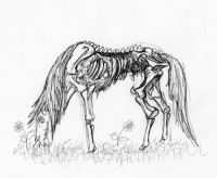 Lawn Zombie