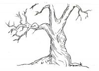 The Dreaming Tree