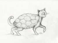 tortoiseshell cat
