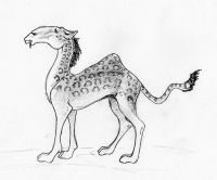 Cameleopard