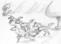 Lil Pony Stampede