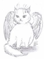 The Fluffiest of All