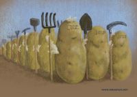Potato golems