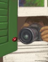 shutter bug