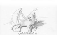 The Most Unusual Pet
