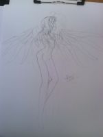 Spread Your Wings
