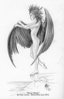 Raven Wings