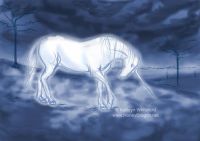 Lonely Unicorn
