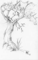Dryad Of the Forest