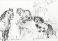big ponies
