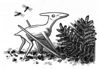 Baby Pterodactyl
