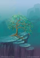 The Persimmon Tree