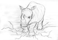 Electric rhino